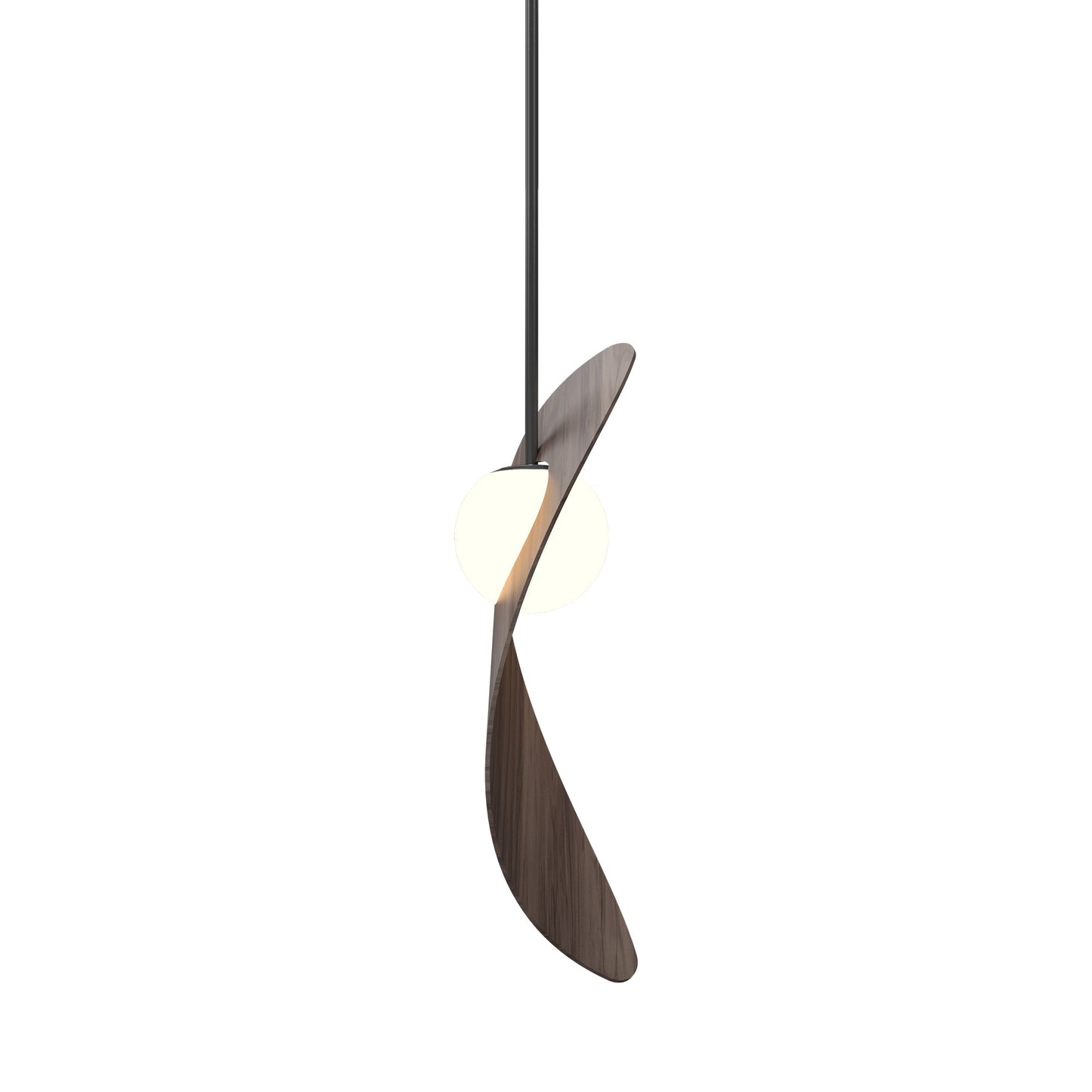 Oyster 1511 Pendant Light in American Walnut.
