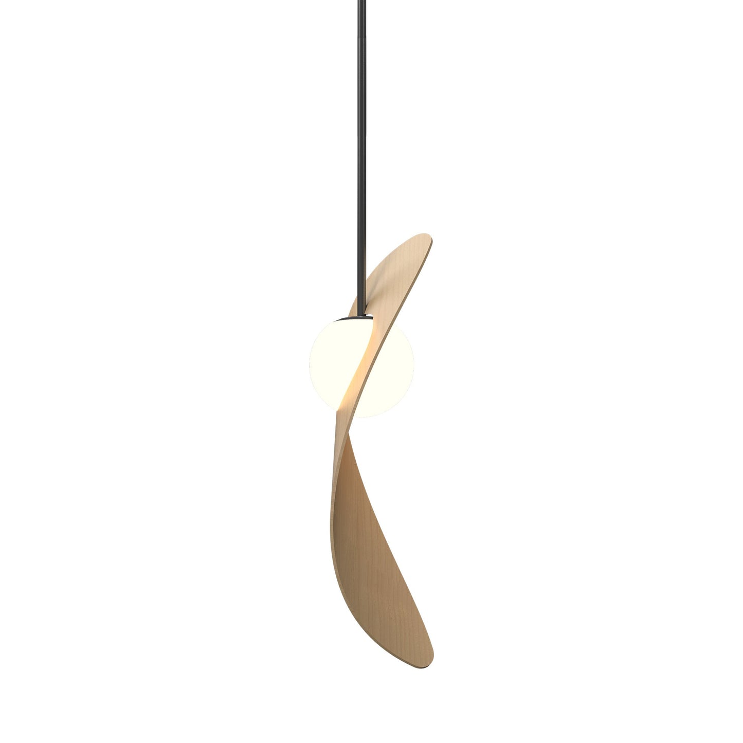 Oyster 1511 Pendant Light in Maple.