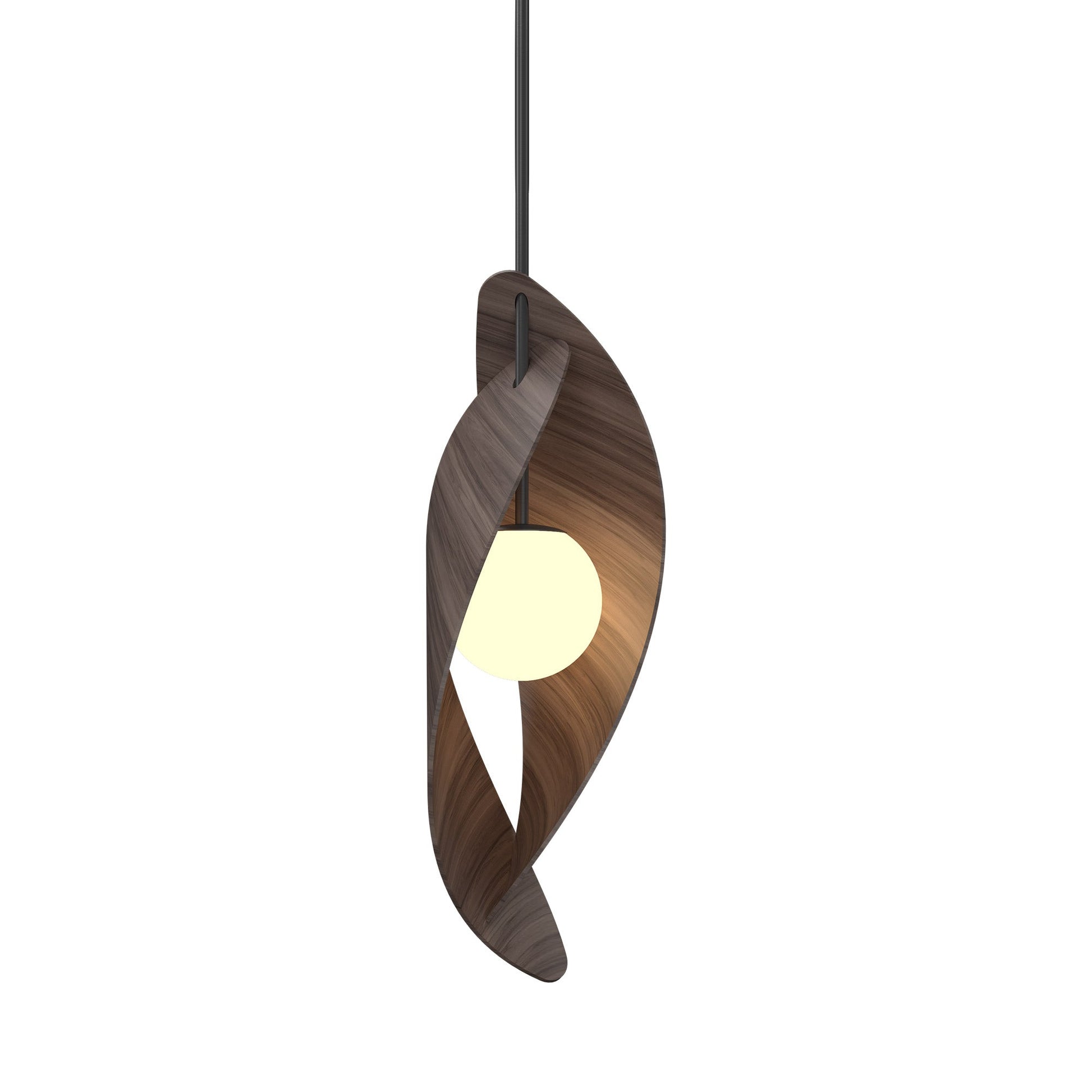 Oyster 1512 Pendant Light in American Walnut.