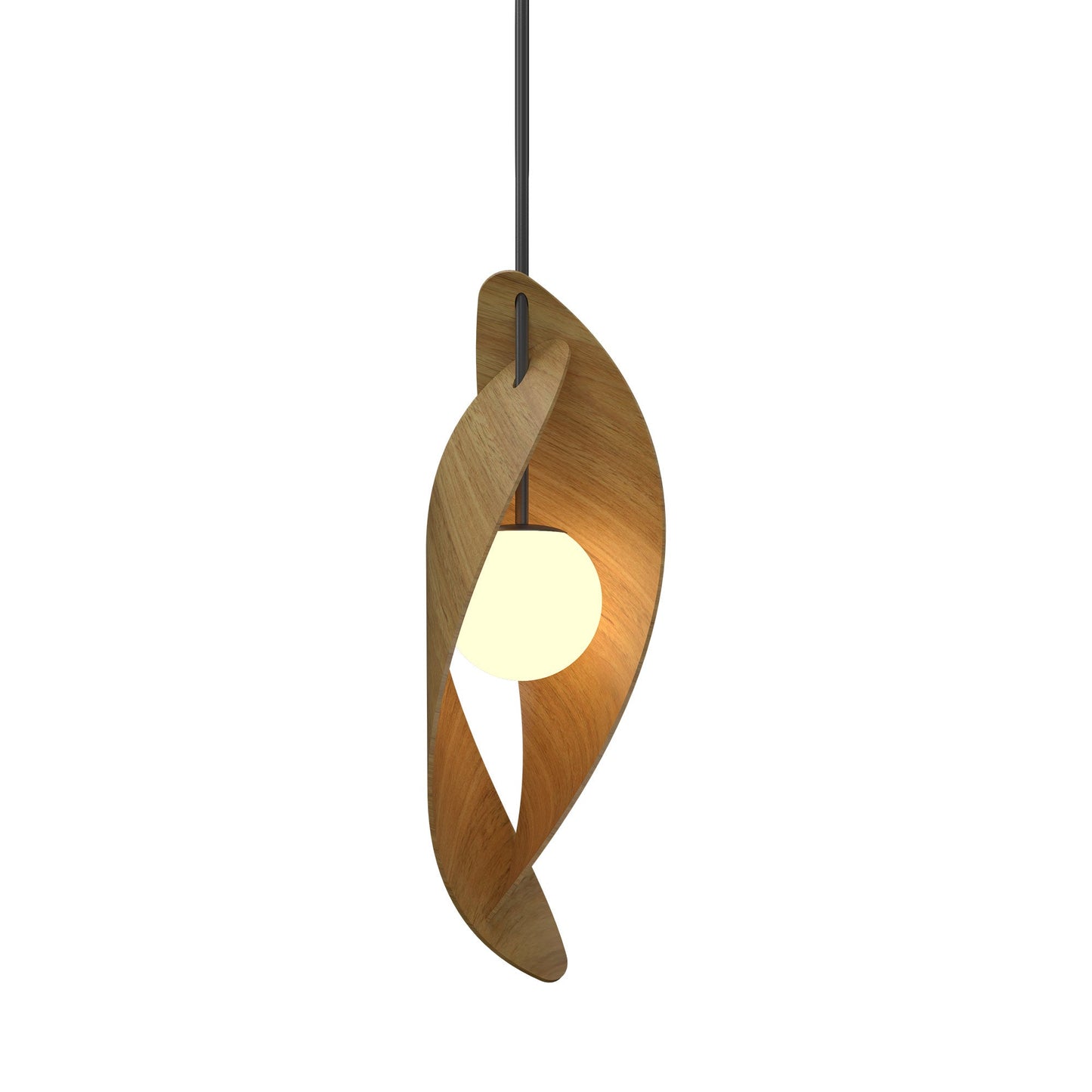 Oyster 1512 Pendant Light in Louro Freijo.