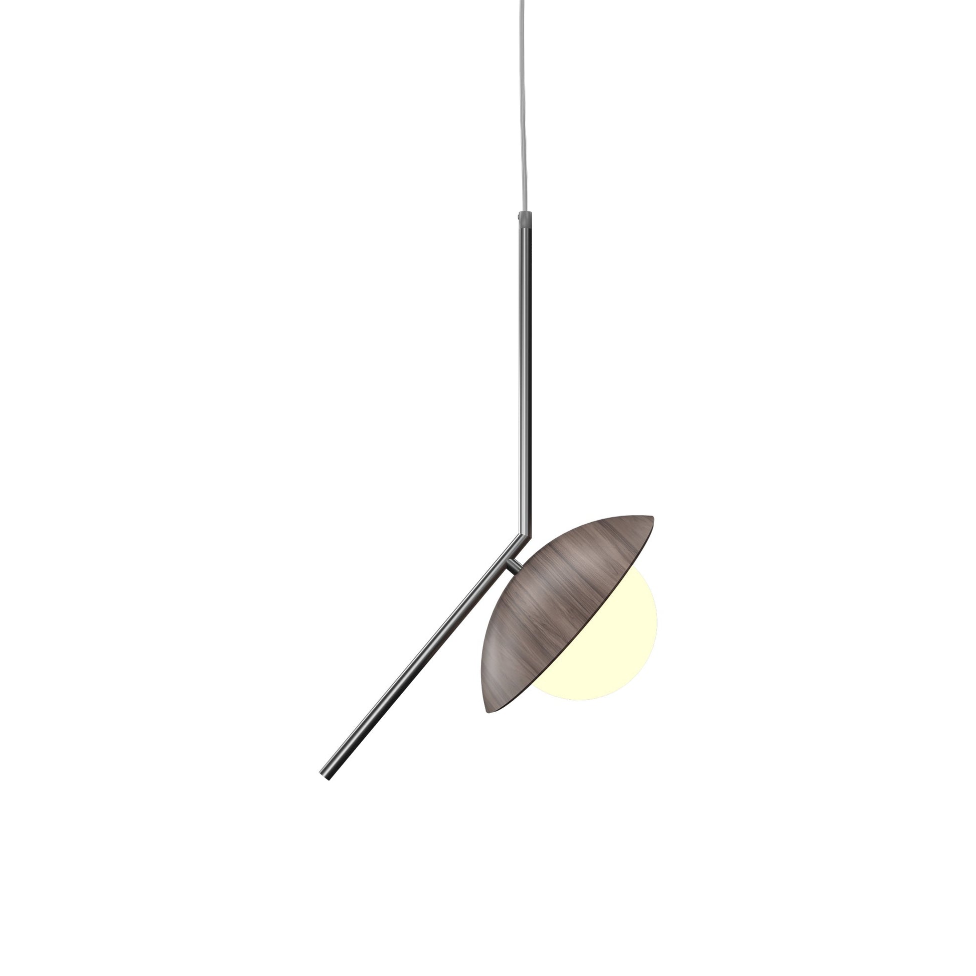 Oyster 1513 Pendant Light in American Walnut.