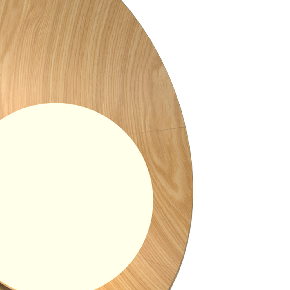 Oyster Wall Light in Detail.