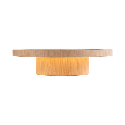 Petra 513 LED Flush Mount Ceiling Light in Detail.