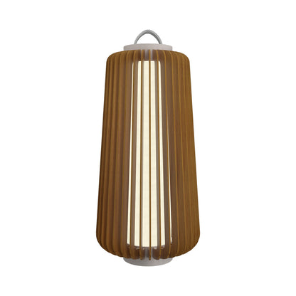 Stecche Di Legno 30368 Floor Lamp in Teak (26.18-Inch).