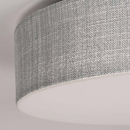 Ashland LED Flush Mount Ceiling Light in Detail.
