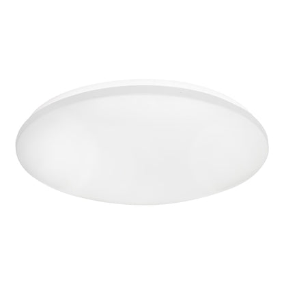 Aurora LED Flush Mount Ceiling Light (19-Inch).