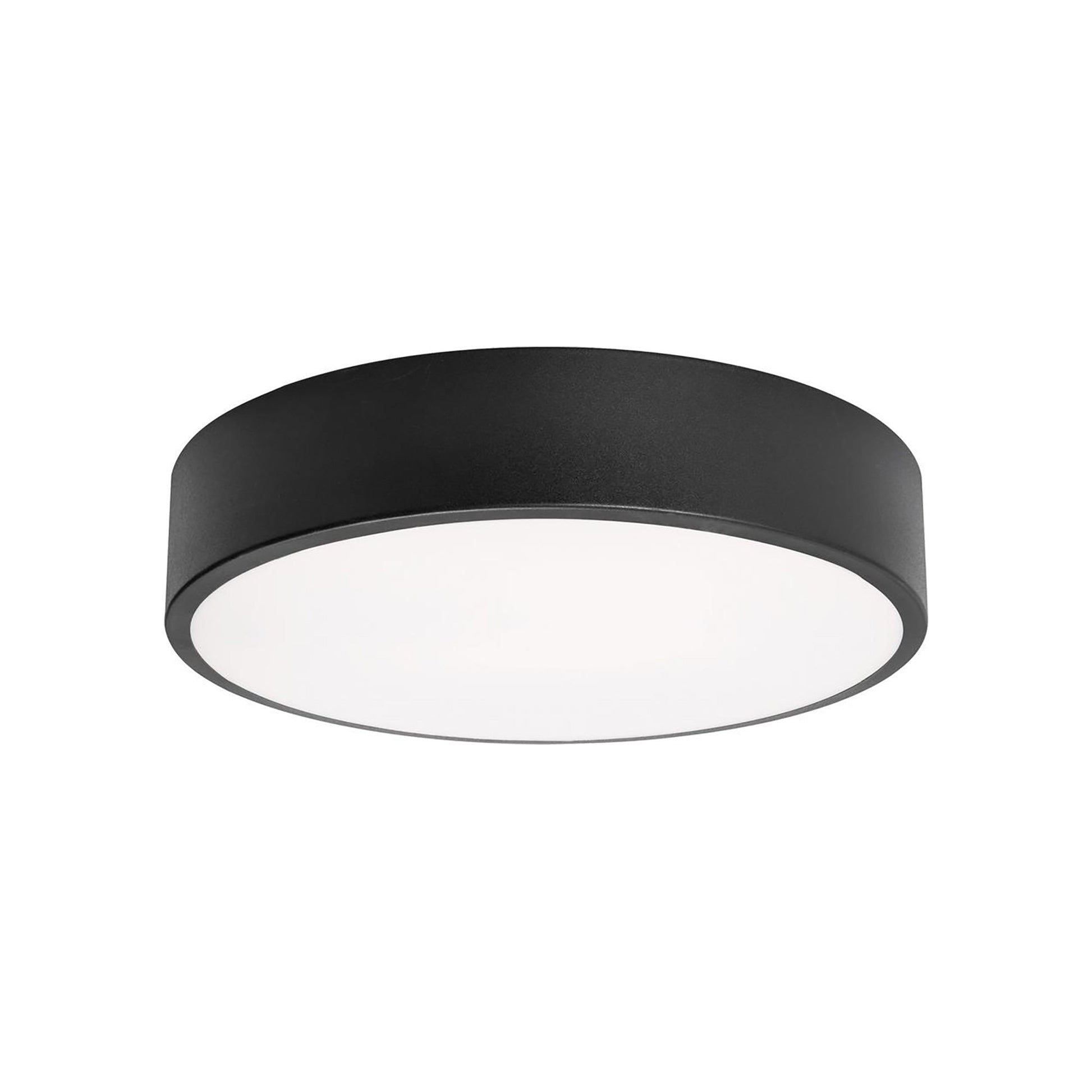 Bailey LED Flush Mount Ceiling Light in Black (12-Inch).