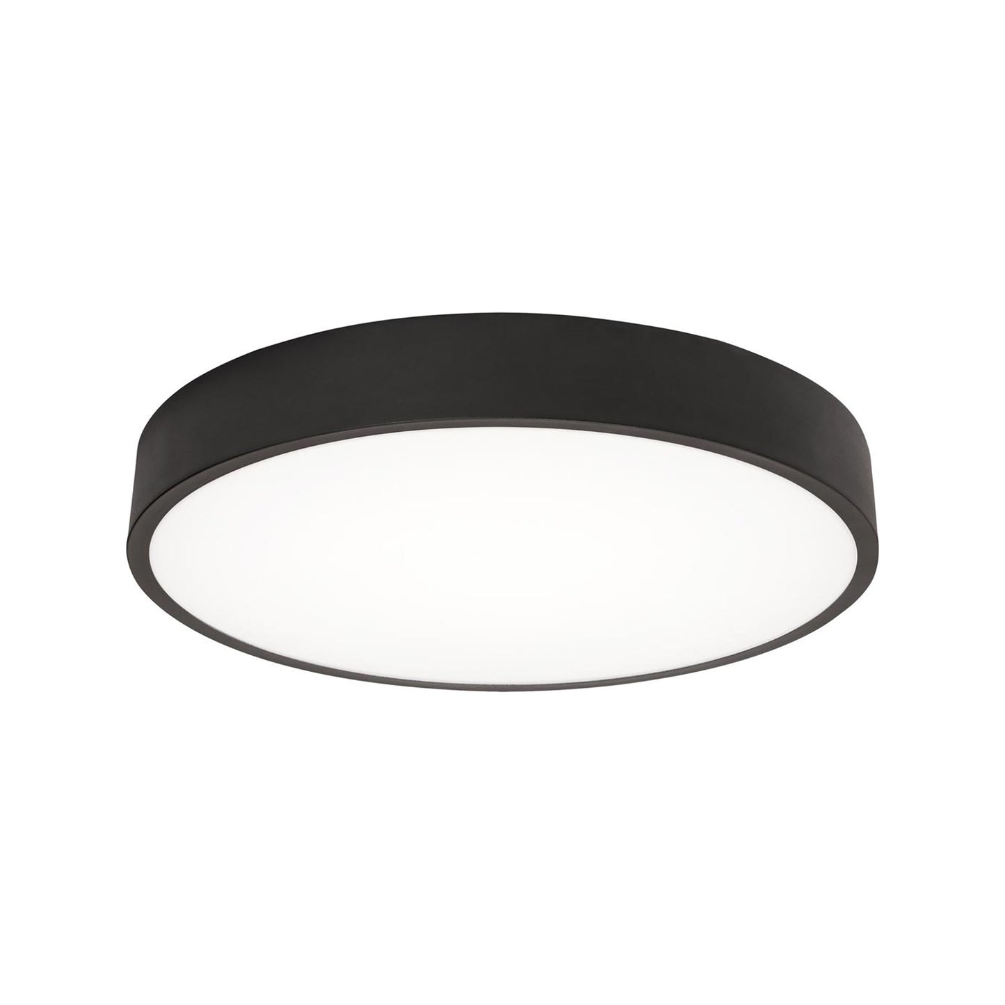 Bailey LED Flush Mount Ceiling Light in Black (14-Inch).