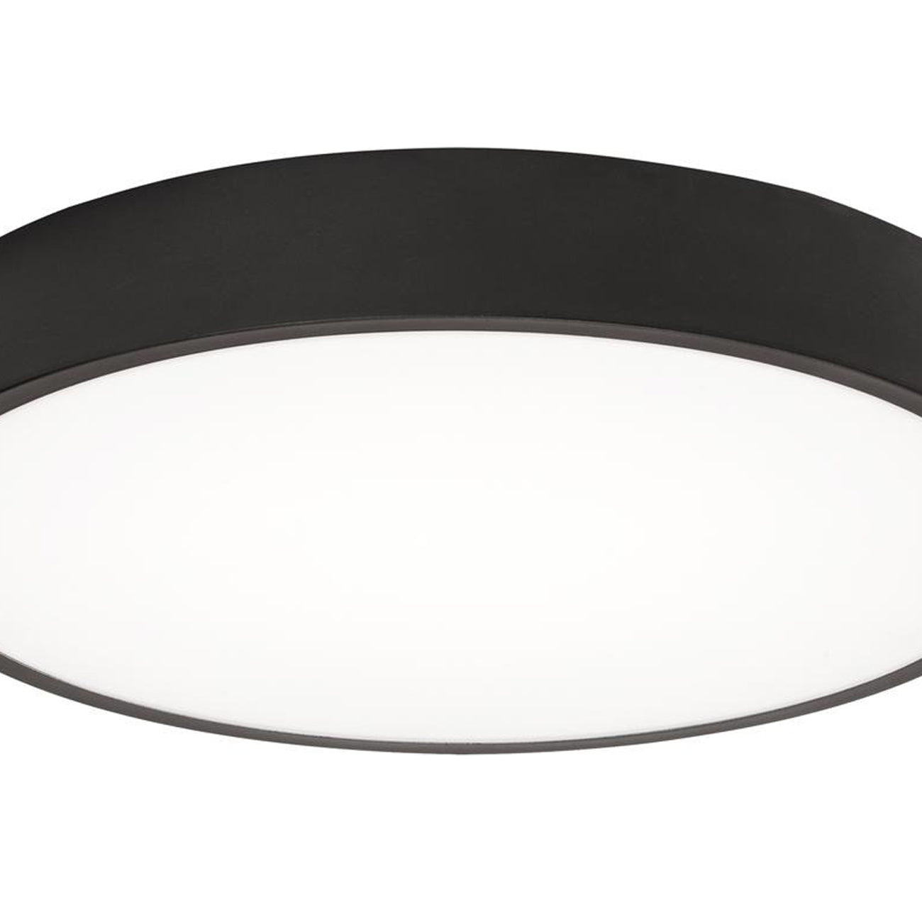 Bailey LED Flush Mount Ceiling Light in Detail.