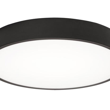Bailey LED Flush Mount Ceiling Light in Detail.