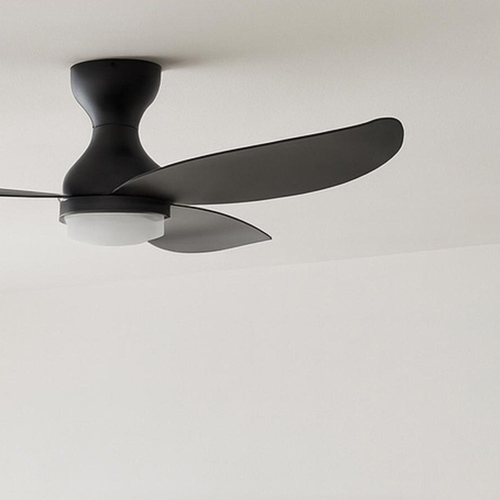 Banks LED Ceiling Fan in Detail.