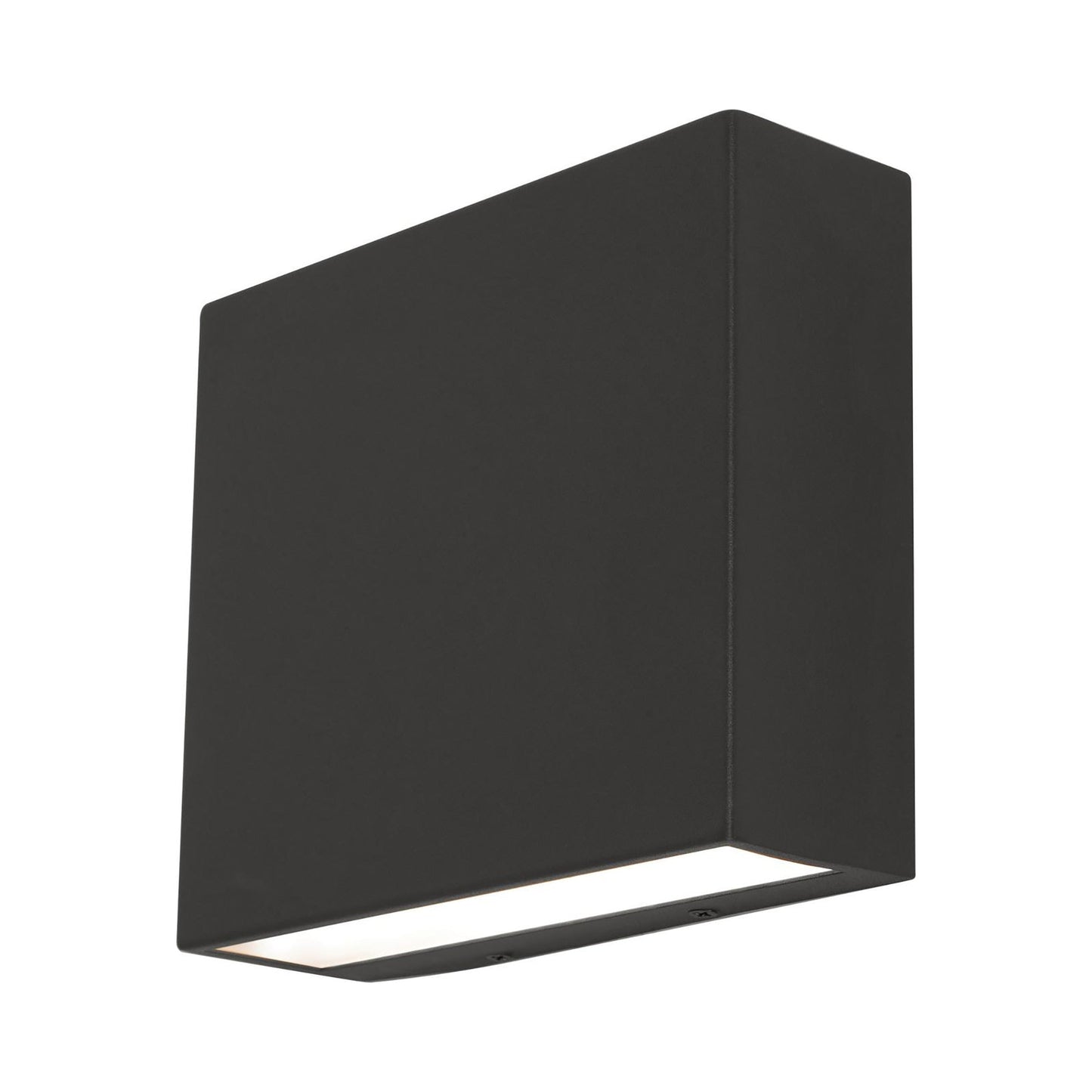 Dakota Outdoor LED Wall Light in Black.