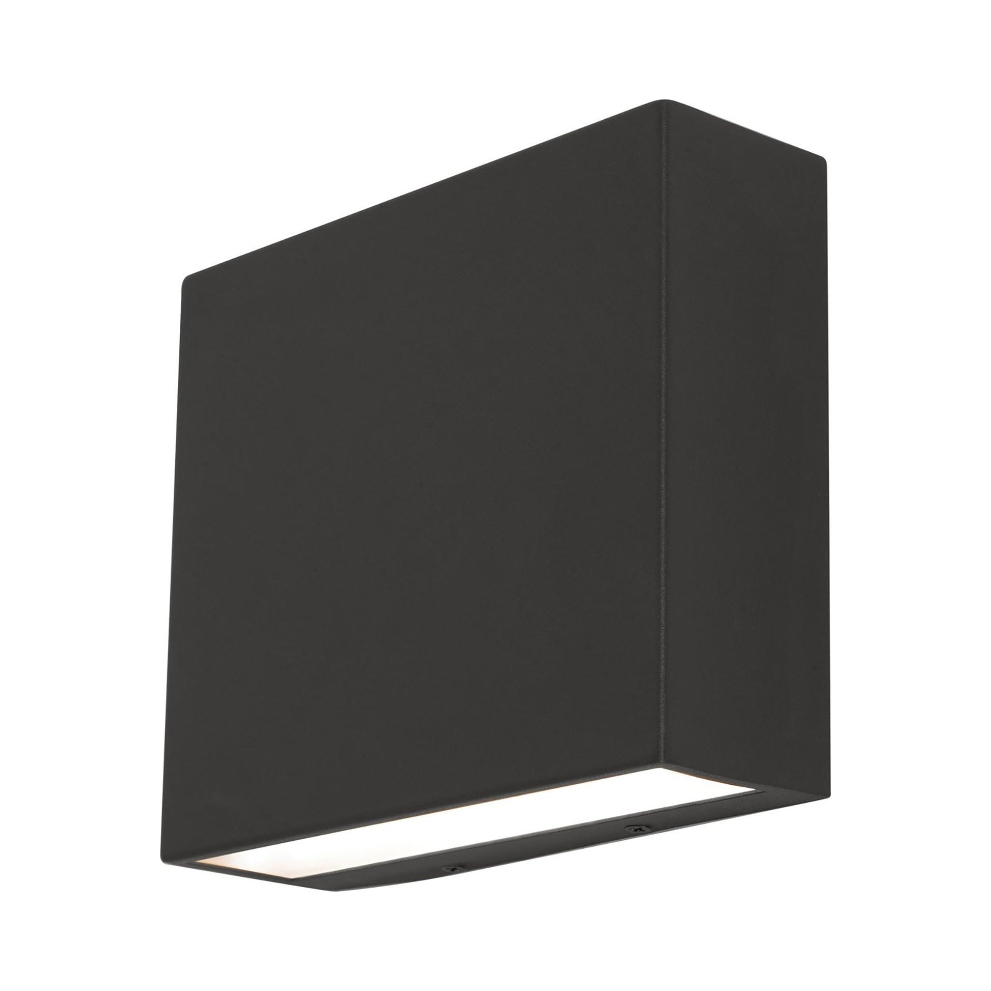Dakota Outdoor LED Wall Light in Black.