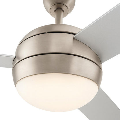 Davis LED Ceiling Fan in Detail.