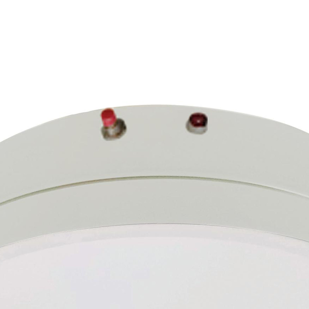 Edge Battery Backup Kit in Detail.