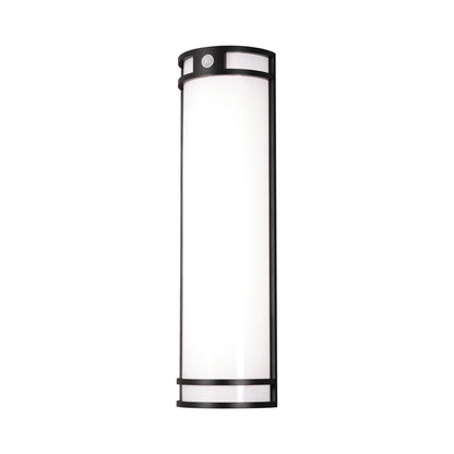 Elston Outdoor LED Wall Light in Black (24-Inch).