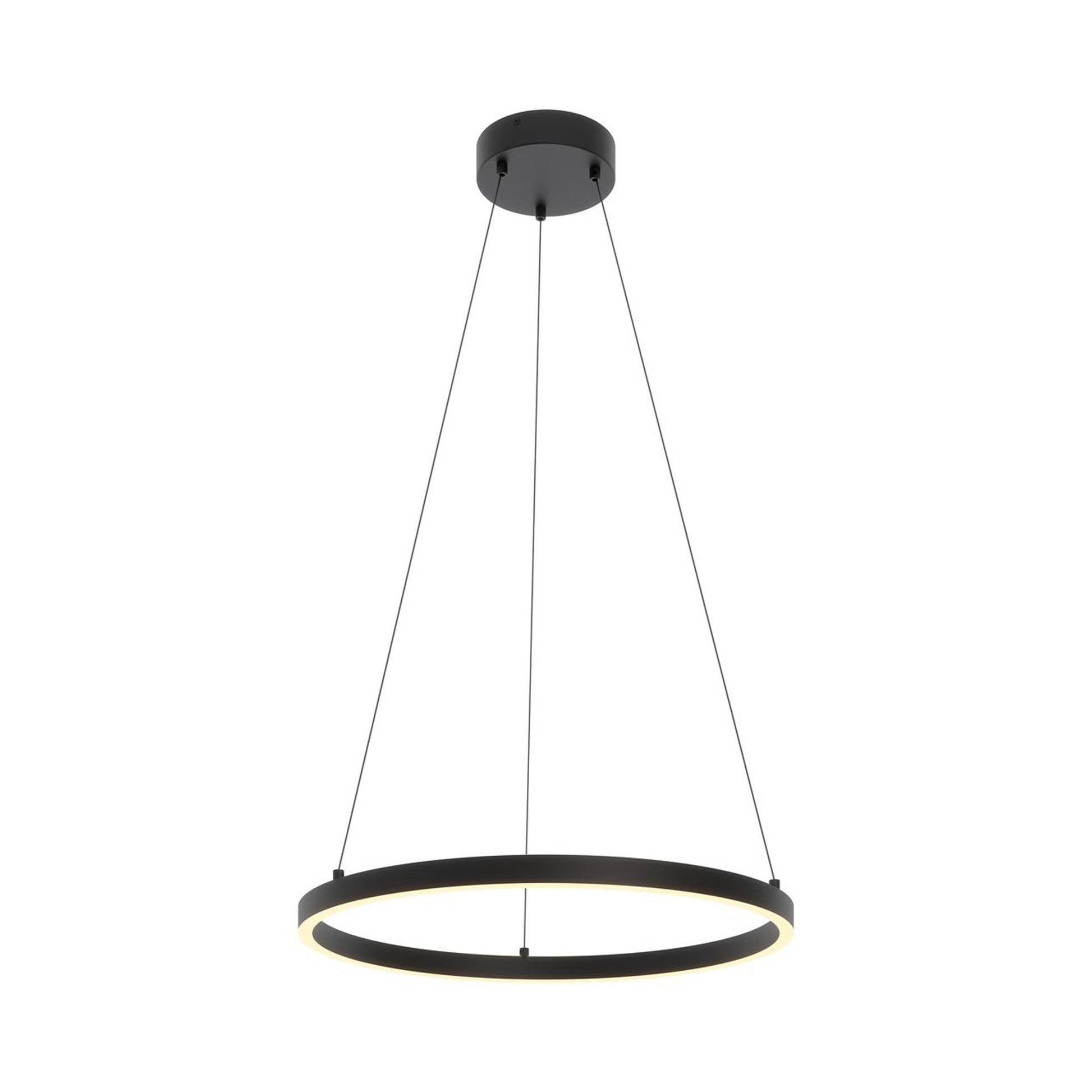 Glo LED Pendant Light in Black (23.75-Inch).