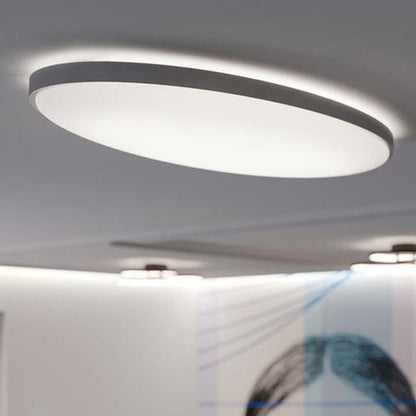 Ideal LED Flush Mount Ceiling Light in Detail.