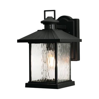 Lennon Outdoor Wall Light (14-Inch).