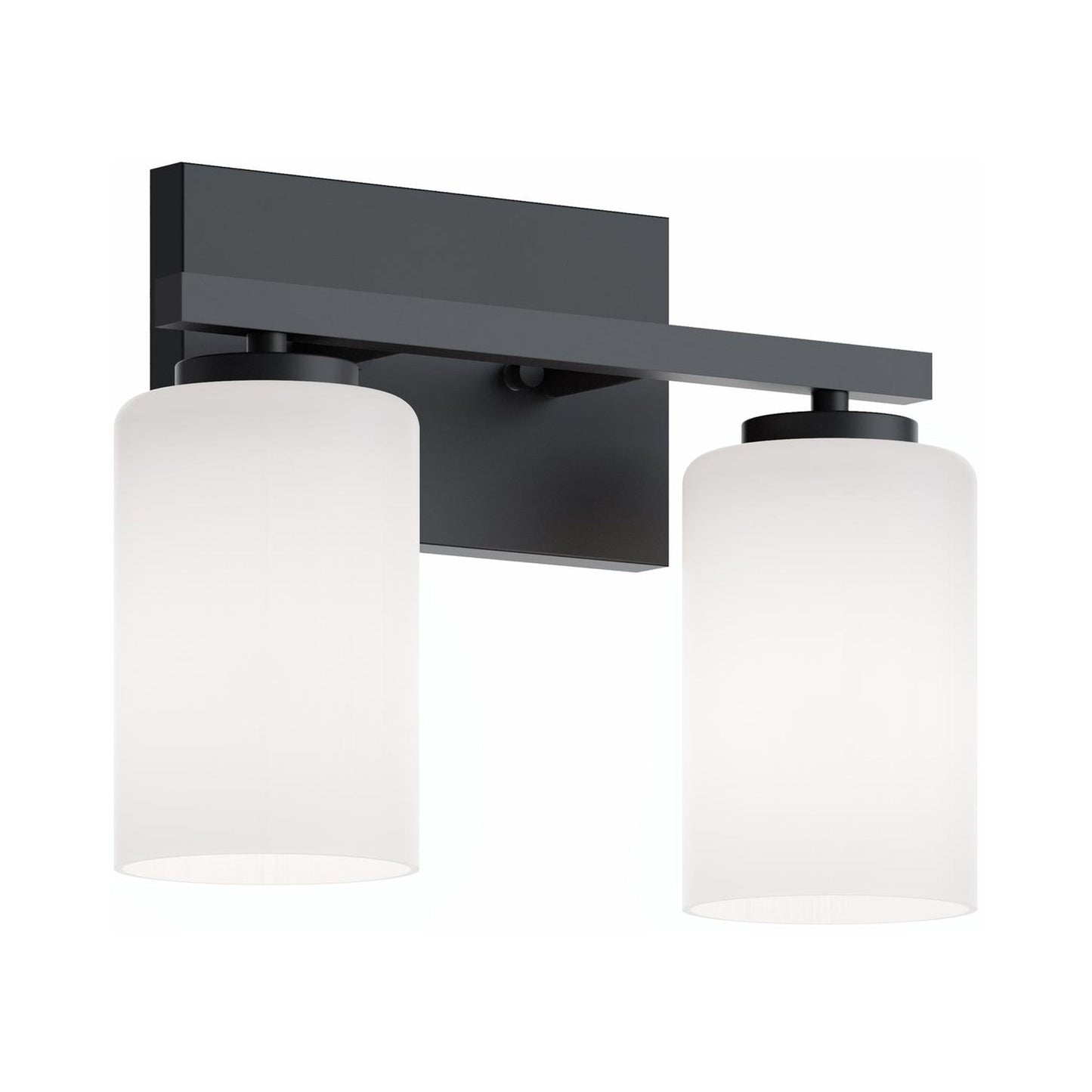 Leo Bath Vanity Light in Black (2-Light).