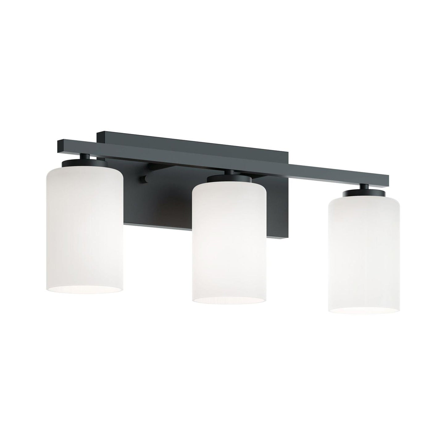 Leo Bath Vanity Light in Black (3-Light).