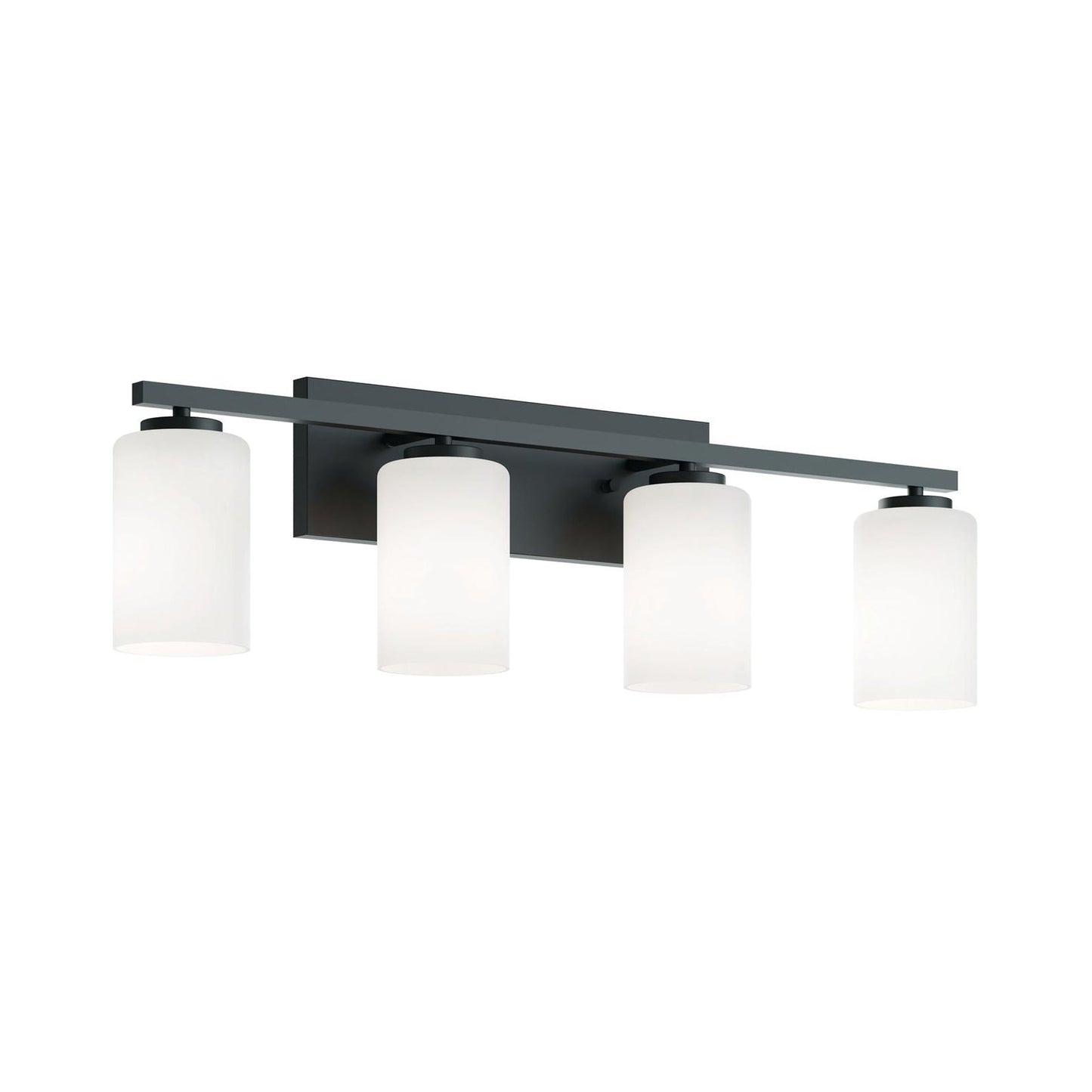 Leo Bath Vanity Light in Black (4-Light).