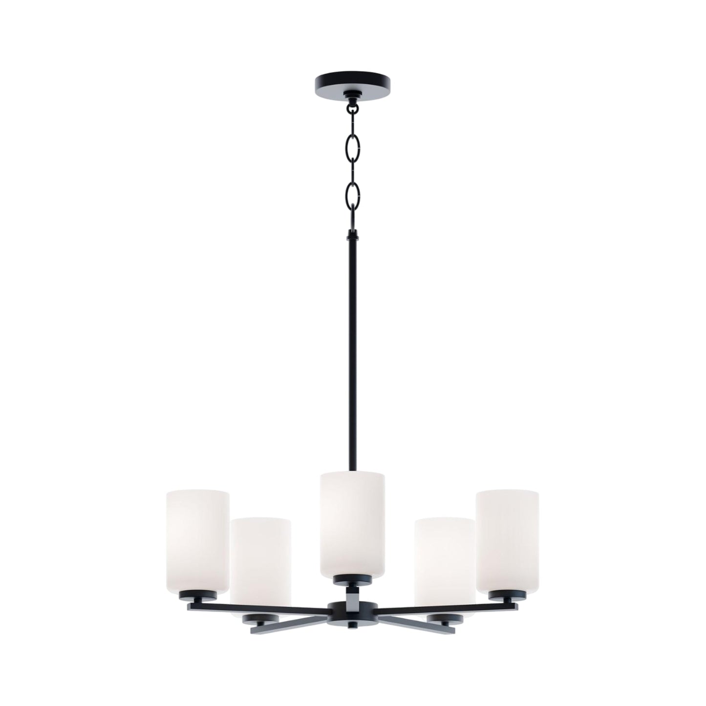 Leo Pendant Light in Black.