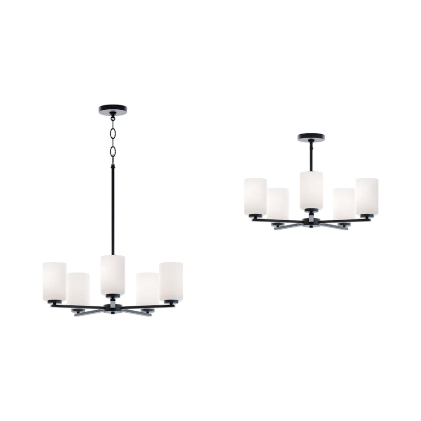 Leo Pendant Light in Detail.