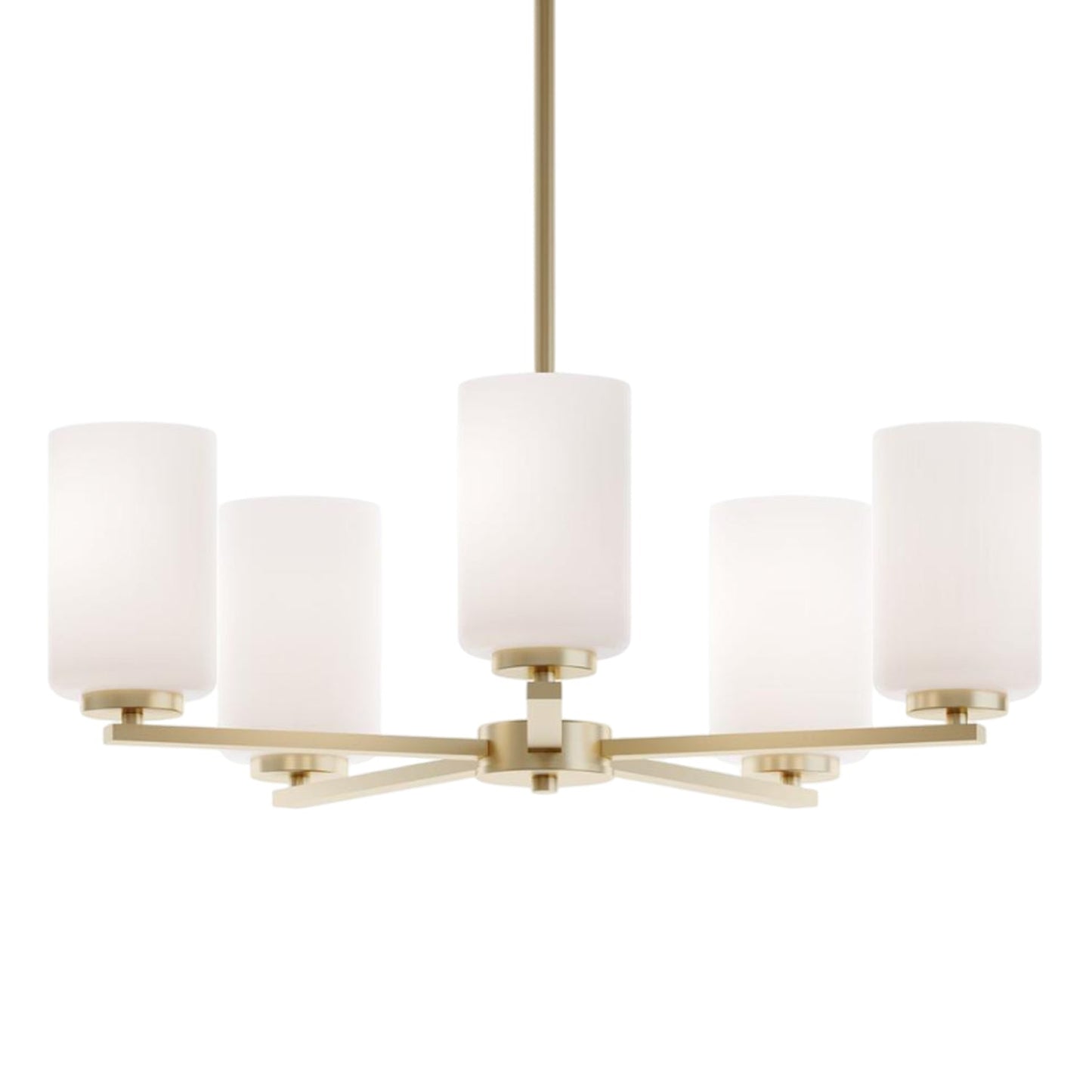 Leo Pendant Light in Detail.