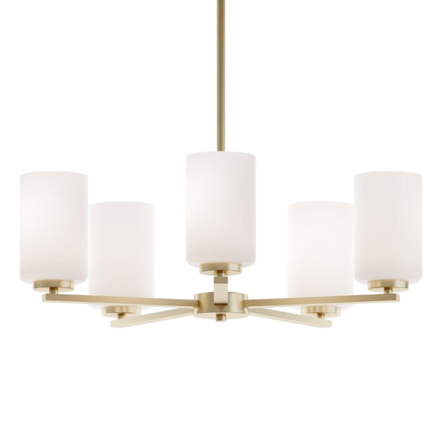 Leo Pendant Light in Detail.