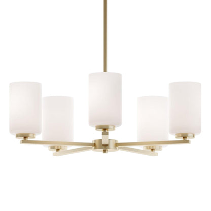 Leo Pendant Light in Detail.