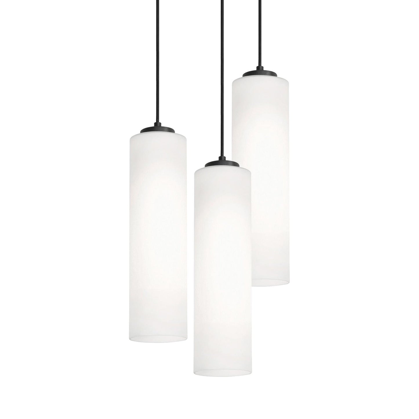 Leo Round Pendant Light in Black (3-Light).