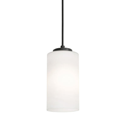 Leo Single Pendant Light in Black (6.5-Inch).