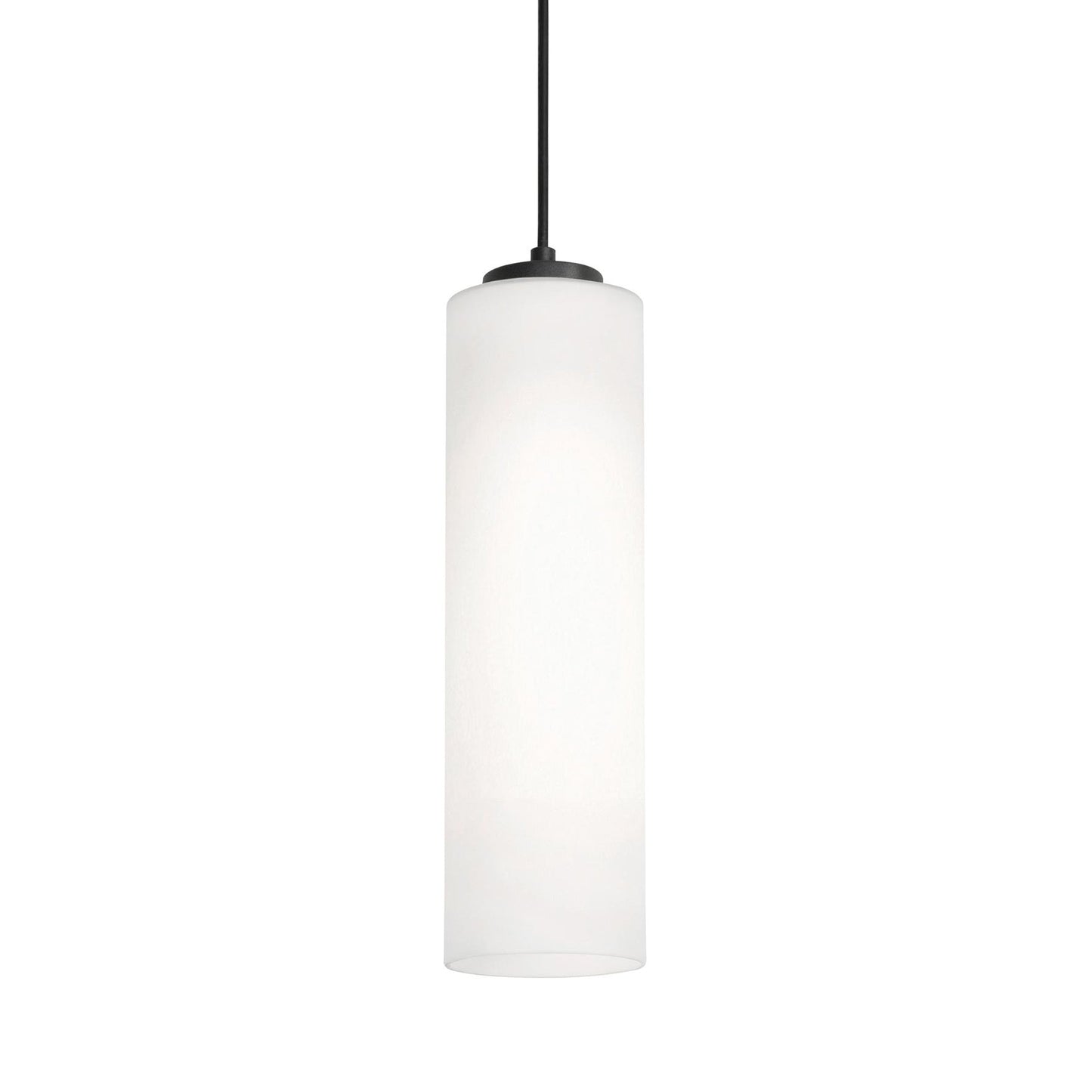 Leo Single Pendant Light in Black (12-Inch).