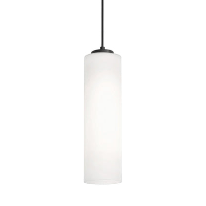 Leo Single Pendant Light in Black (12-Inch).