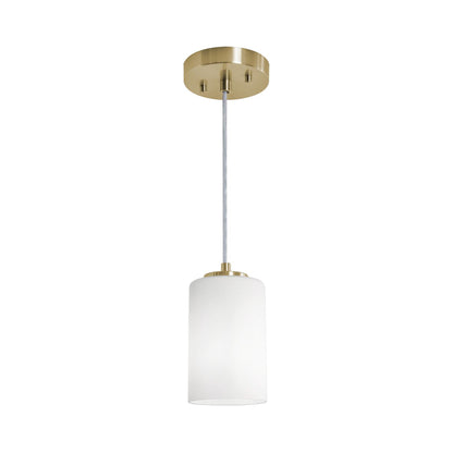 Leo Single Pendant Light in Detail.