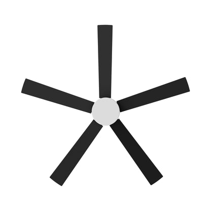 Maddox LED Ceiling Fan in Detail.