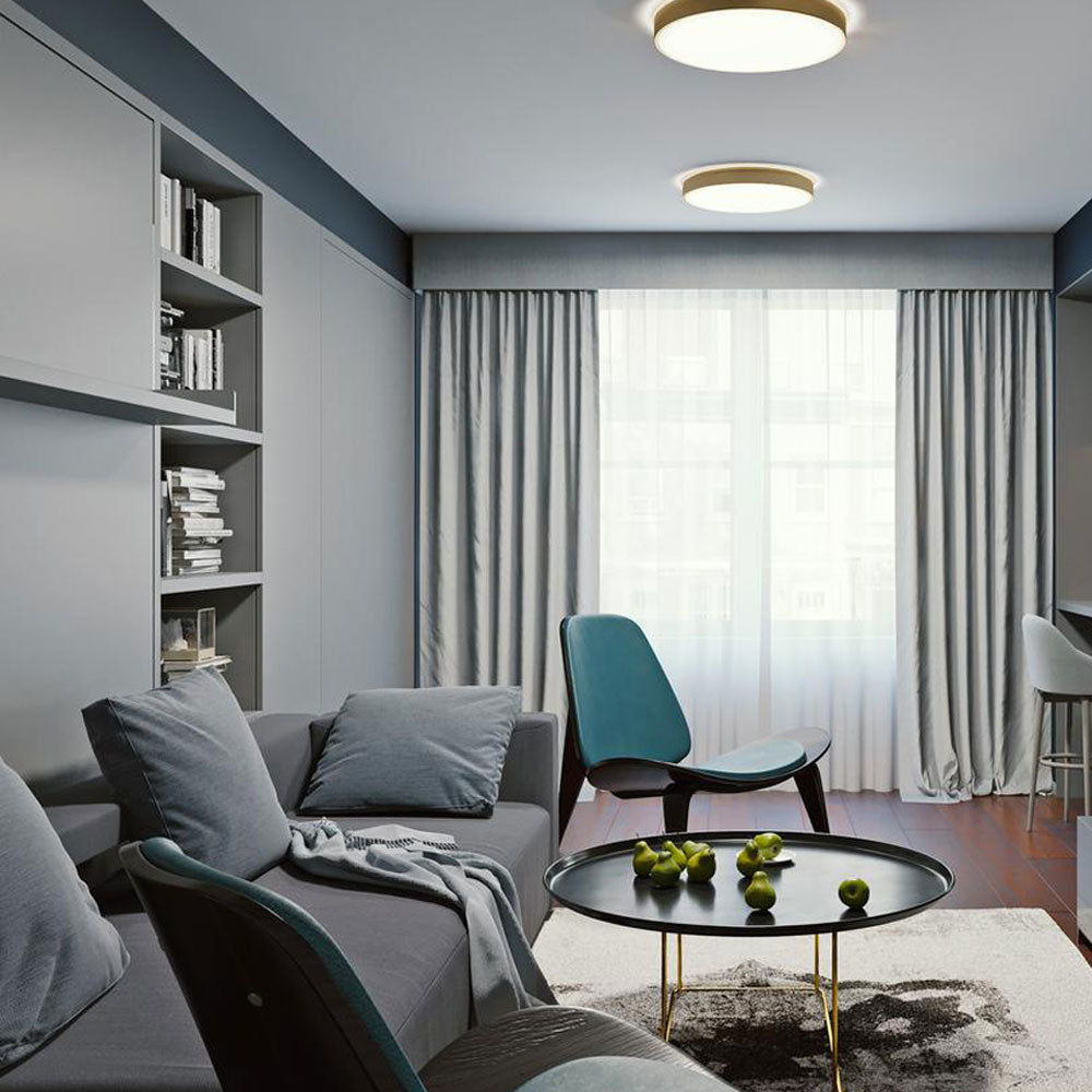 Octavia LED Flush Mount Ceiling Light in living room.