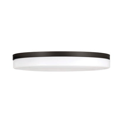 Oscar LED Flush Mount Ceiling Light in Detail.