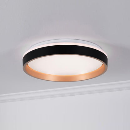 Rana LED Flush Mount Ceiling Light in Detail.