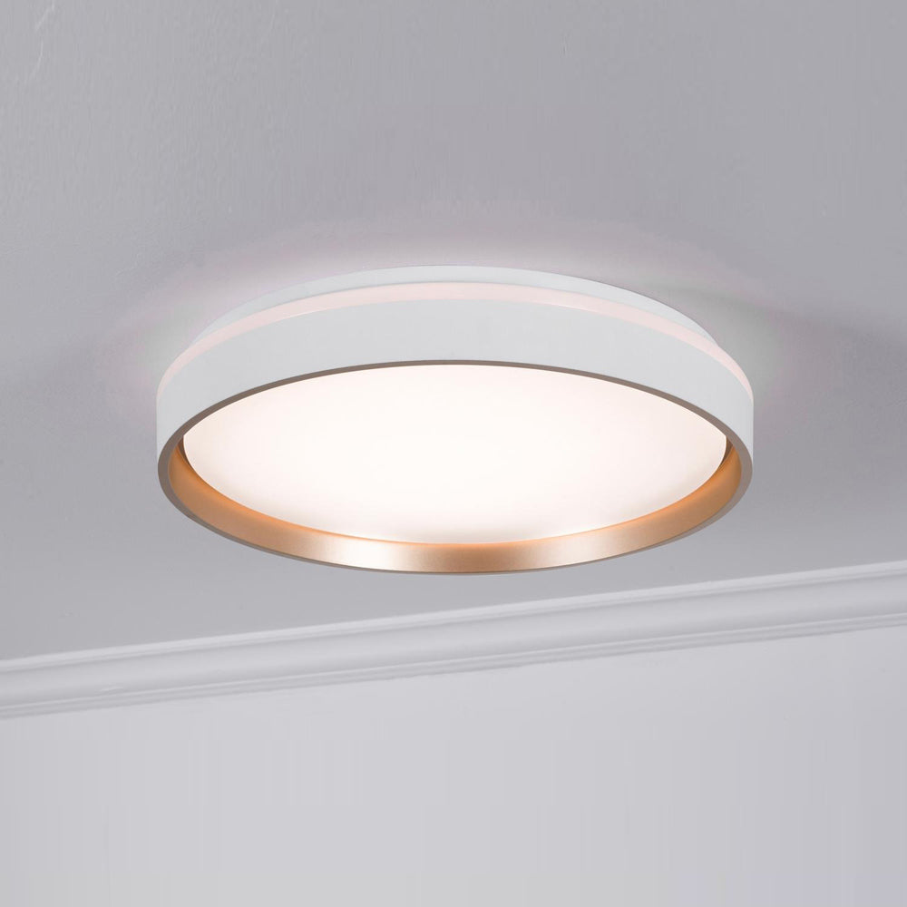 Rana LED Flush Mount Ceiling Light in Detail.