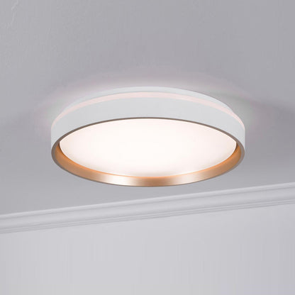 Rana LED Flush Mount Ceiling Light in Detail.