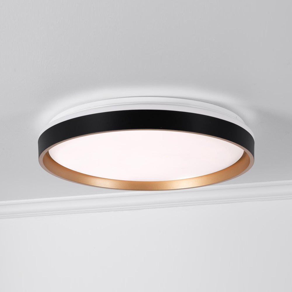 Rana LED Flush Mount Ceiling Light in Detail.
