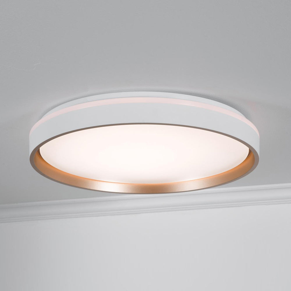 Rana LED Flush Mount Ceiling Light in Detail.