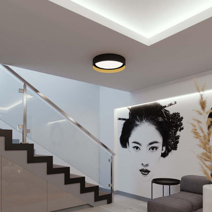 Reveal LED Flush Mount Ceiling Light in living room.