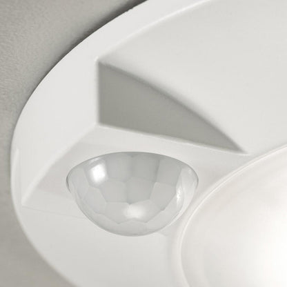Tana LED Flush Mount Ceiling Light in Detail.