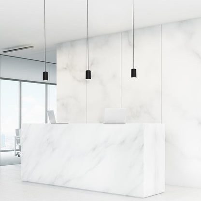 Tyke Pendant Light in office.