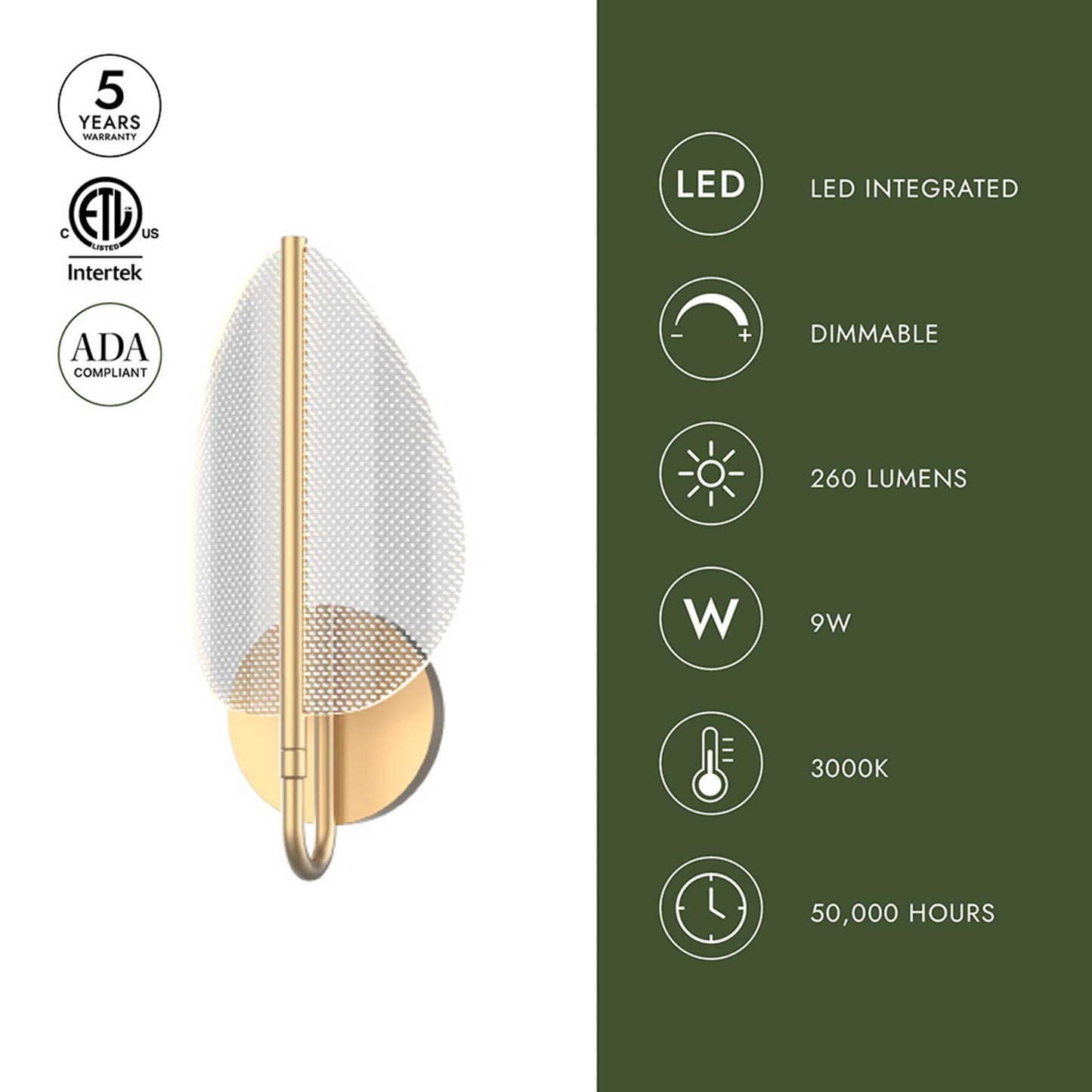 Flora LED Wall Light in Detail.