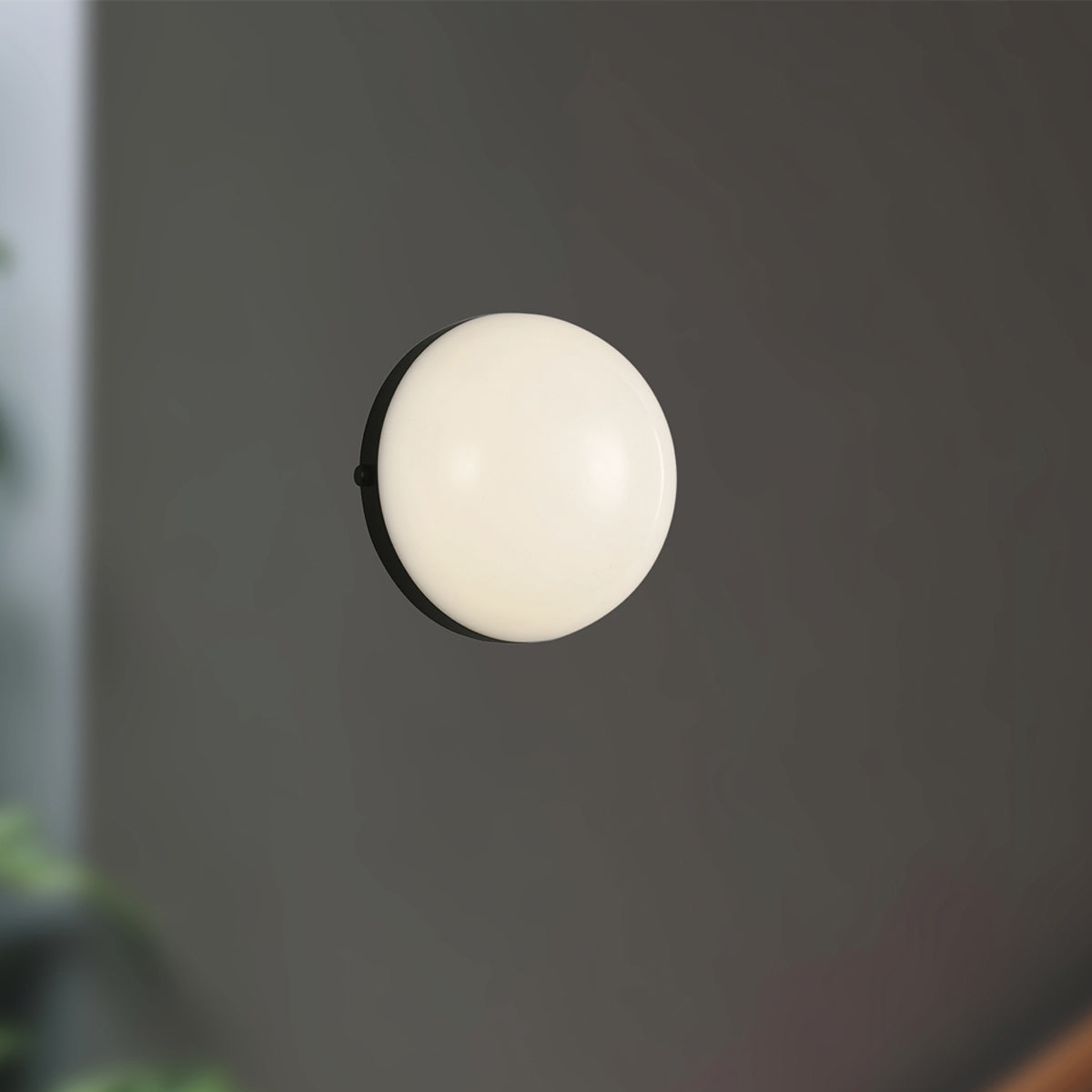 Globo LED Wall Light in Detail.
