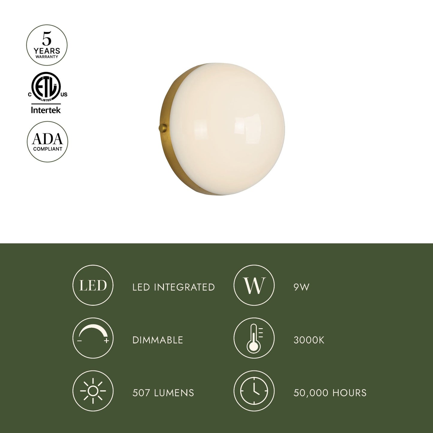 Globo LED Wall Light in Detail.